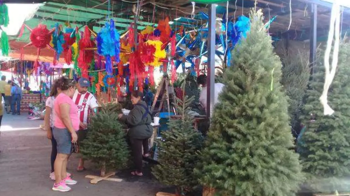 Venta de árboles navideños en el mercado ALM (1)